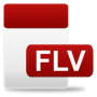 FLV Video Player