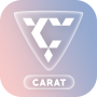 Carat: Seventeen games