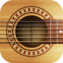 Real Guitar: acoustic electric