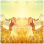 Insta Mirror: Mirror Photo
