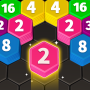 Hexa Master 3D - Color Sort