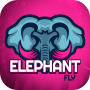 Elephant Bet Fly On Demand