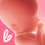 My Pregnancy Tracker - Lifeing