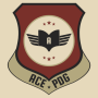 Ace PDG - Air Force