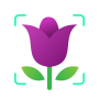 Plant Finder: Identify Flowers