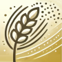 Pollen: Info & Forecast