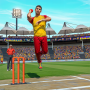Cricket Game 3D: Bat Ball Game